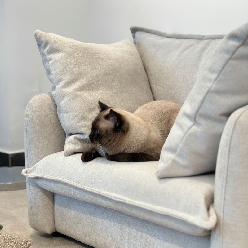NOE MINI SOFA
