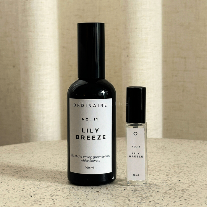 FABRIC SPRAY ORDINAIRE