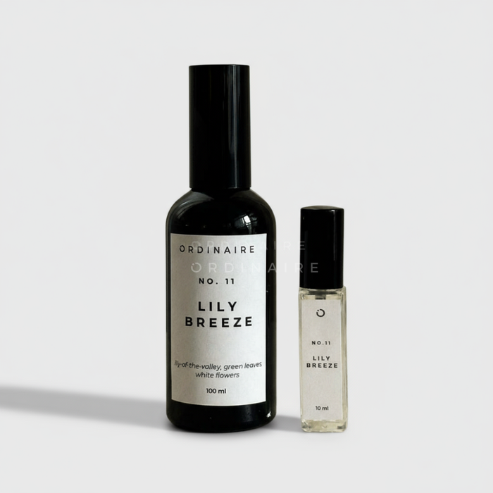 FABRIC SPRAY ORDINAIRE