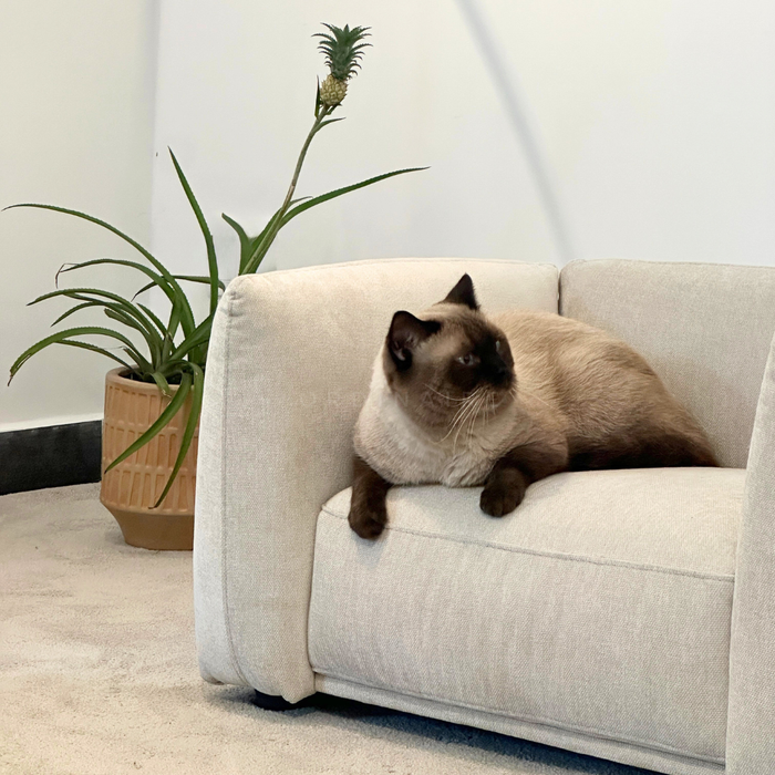 YUKI MINI SOFA